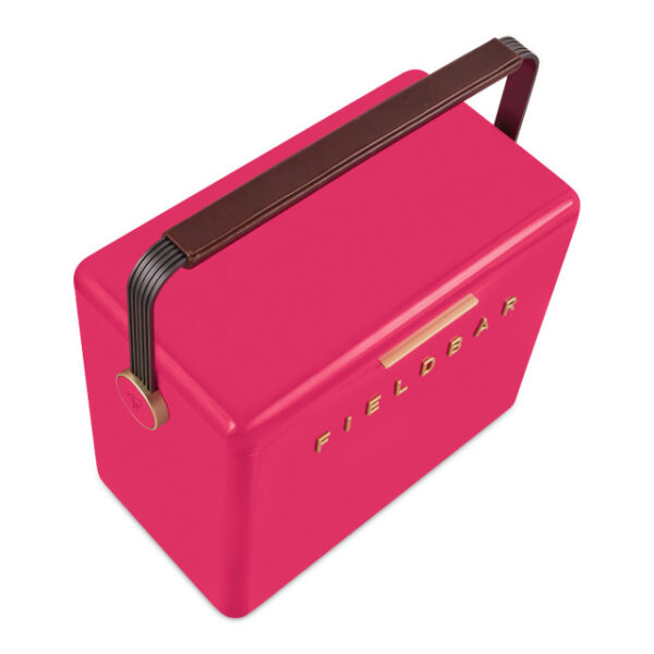 Fieldbar Limited Edition Yuppiechef Pink Gin Trunk, 24L