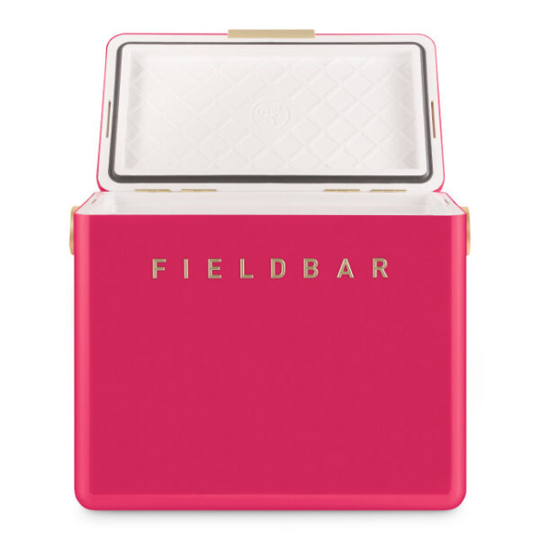Fieldbar Limited Edition Yuppiechef Pink Gin Trunk, 24L