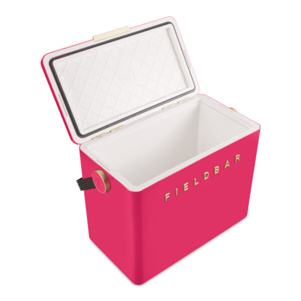 Fieldbar Limited Edition Yuppiechef Pink Gin Trunk, 24L