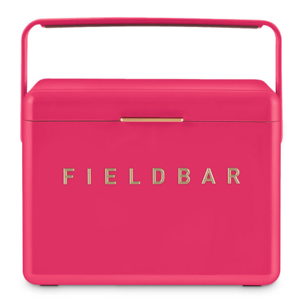 hcfb3p213cm11 Fieldbar Limited Edition Yuppiechef Pink Mini Bar, 4L