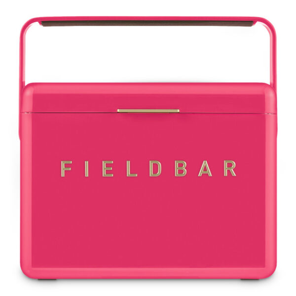 hcfb3p213cm12 Fieldbar Limited Edition Yuppiechef Pink Mini Bar, 4L