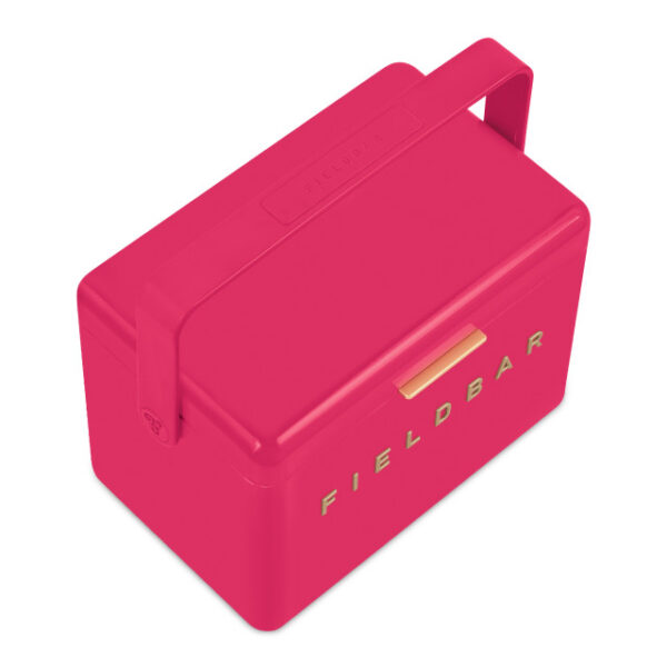 hcfb3p213cm16 Fieldbar Limited Edition Yuppiechef Pink Mini Bar, 4L
