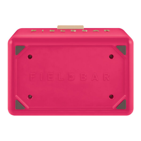 hcfb3p213cm17 Fieldbar Limited Edition Yuppiechef Pink Mini Bar, 4L