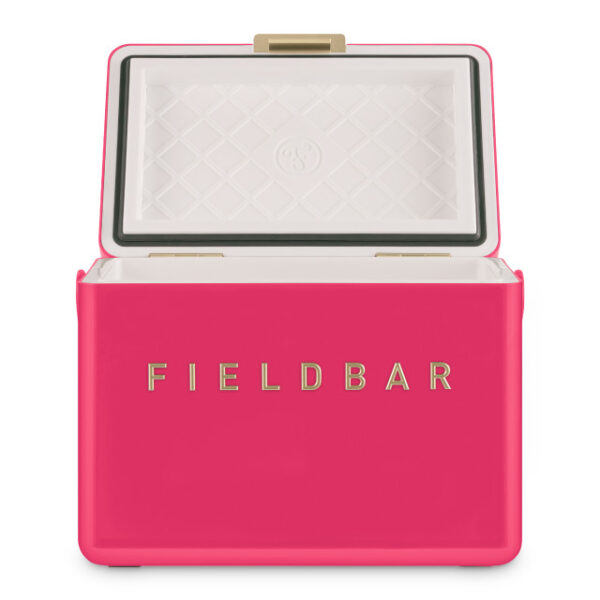 hcfb3p213cm18 Fieldbar Limited Edition Yuppiechef Pink Mini Bar, 4L
