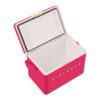 hcfb3p213cm19 Fieldbar Limited Edition Yuppiechef Pink Mini Bar, 4L
